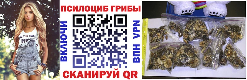 купить  цена  Бузулук  Псилоцибиновые грибы MAGIC MUSHROOMS 